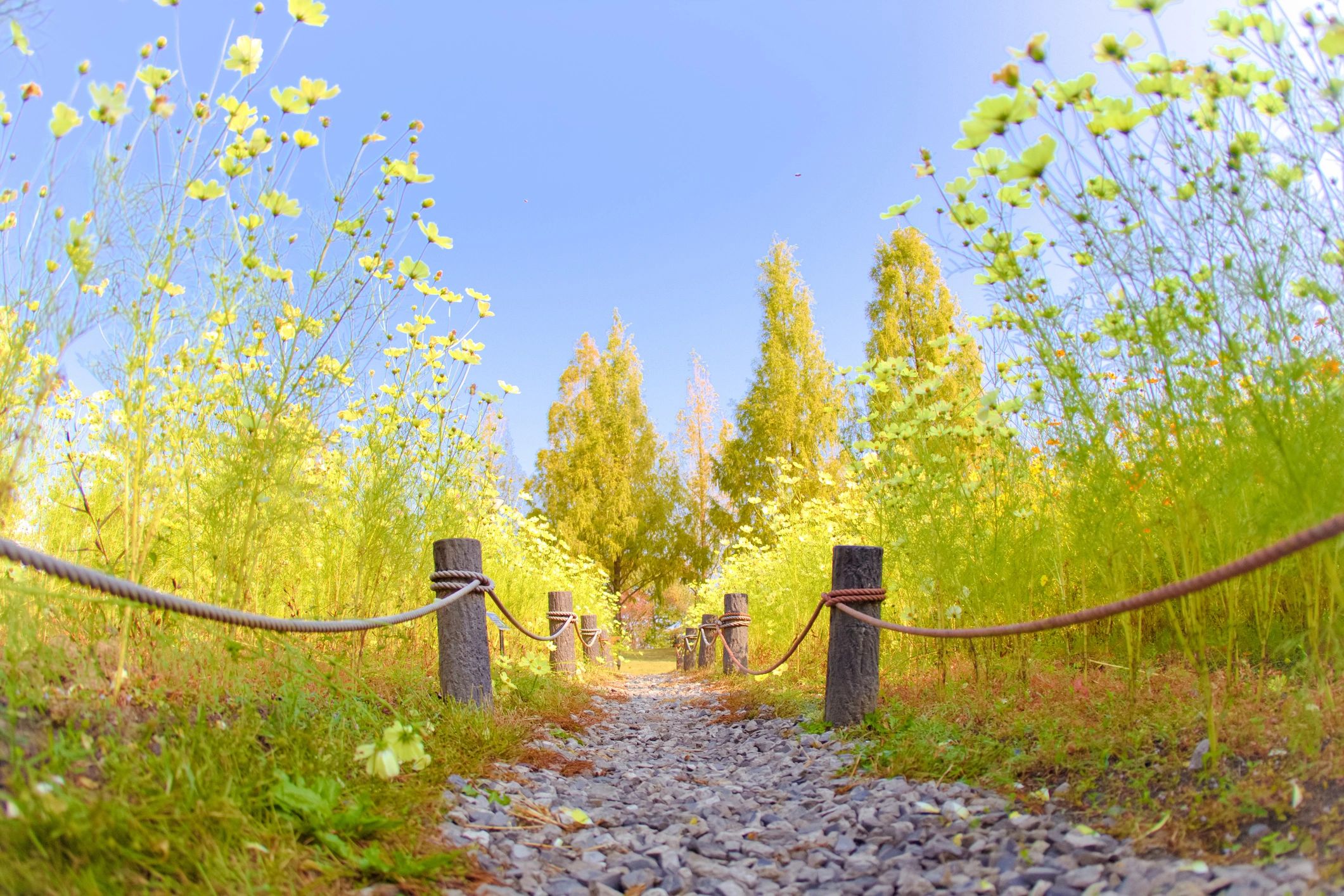 Whimsical scene in nature