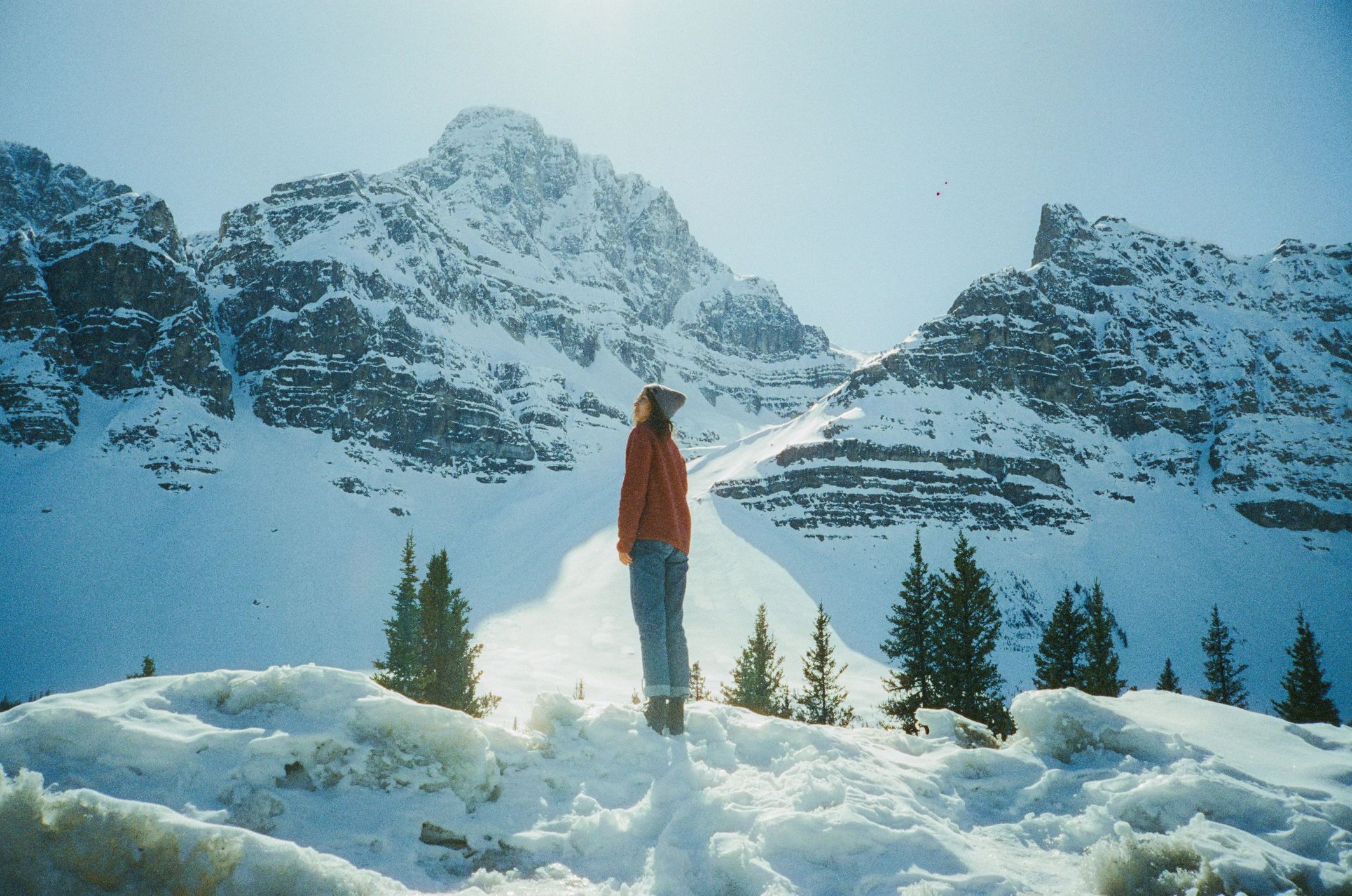 Whimsical outdoor landscape photo